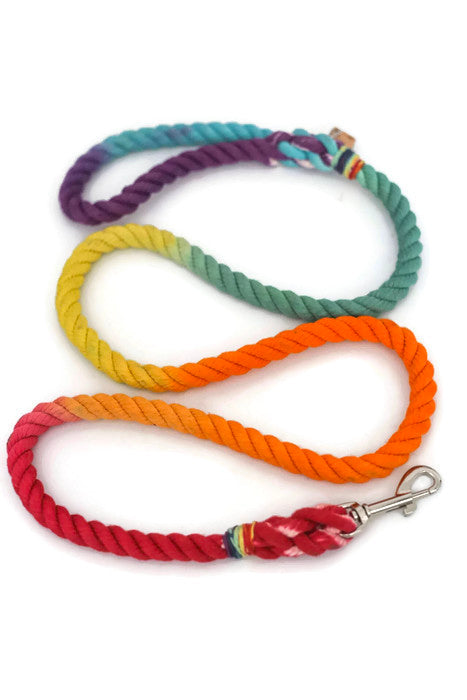 Tie dye rope dog hot sale leash